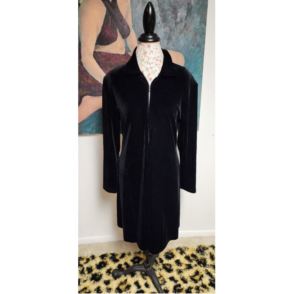 Vintage Ronnie Nicole velvet dress